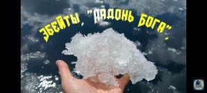 Озеро ЭБЕЙТЫ. Омская область. Путешествие.