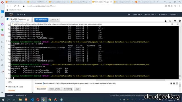 Scale Up/Down AWS EKS Kafka Using Terraform and Strimzi: Direct Pod Access with REST Endpoints