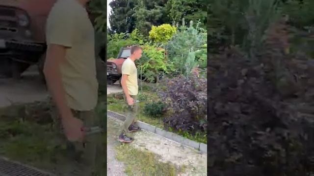 Стрижка кустарников смотреть онлайн