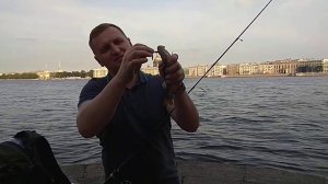 Вращающаяся блесна Myran Panter работает!