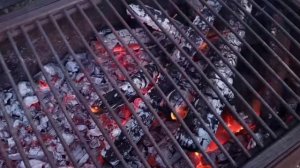 нашел золотую жилу