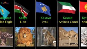National Animals of all Countries Part 2