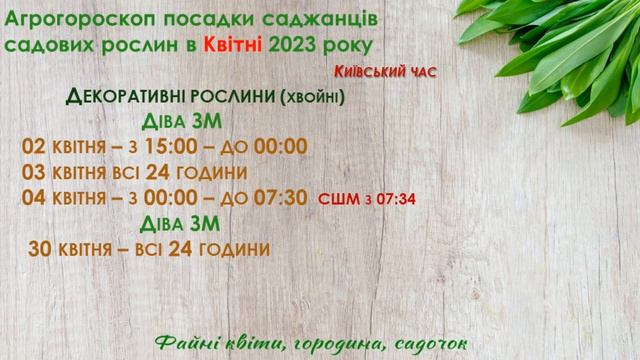 Коли посадити дерева, кущі, декоративні та хвойні саджанці в квітні 2023 року? смотреть онлайн