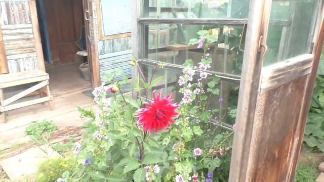 Стоимость владения моим дачным участком смотреть онлайн