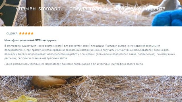 Отзывы smmapp.ru трафик формула сайт
