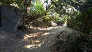 Алупка Воронцовский парк.