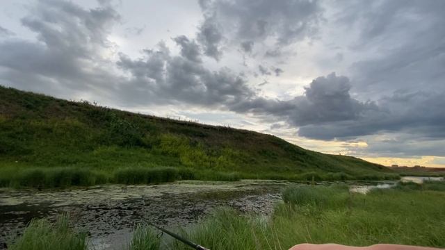 СЕРДЦЕ ЗАМИРАЕТ ОТ ЭТИХ ПОКЛЕВОК! Рыбалка на ПОППЕР в луже! Вечерний выход щуки смотреть онлайн