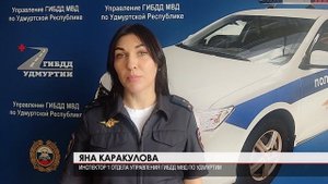 ДТП с лосями 05.10.2023