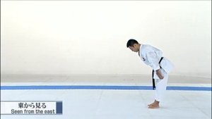 Jkf goju-ryu kata bunkai
