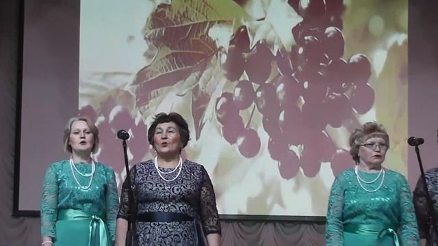 Презентация Нижнеулу  - Елгинского сельсовета в ДК Ермекеево