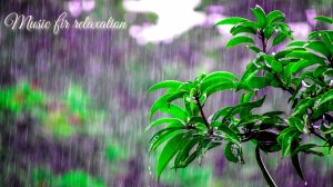 Легкая музыка и шум дождя.
