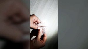 Что делать, если у джек рассела встали ушки