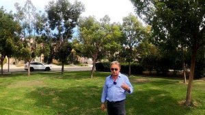 Деградация блогеров во Флориде.Флоридо-Майамская абракадабра.Что-то там явно с климатом.