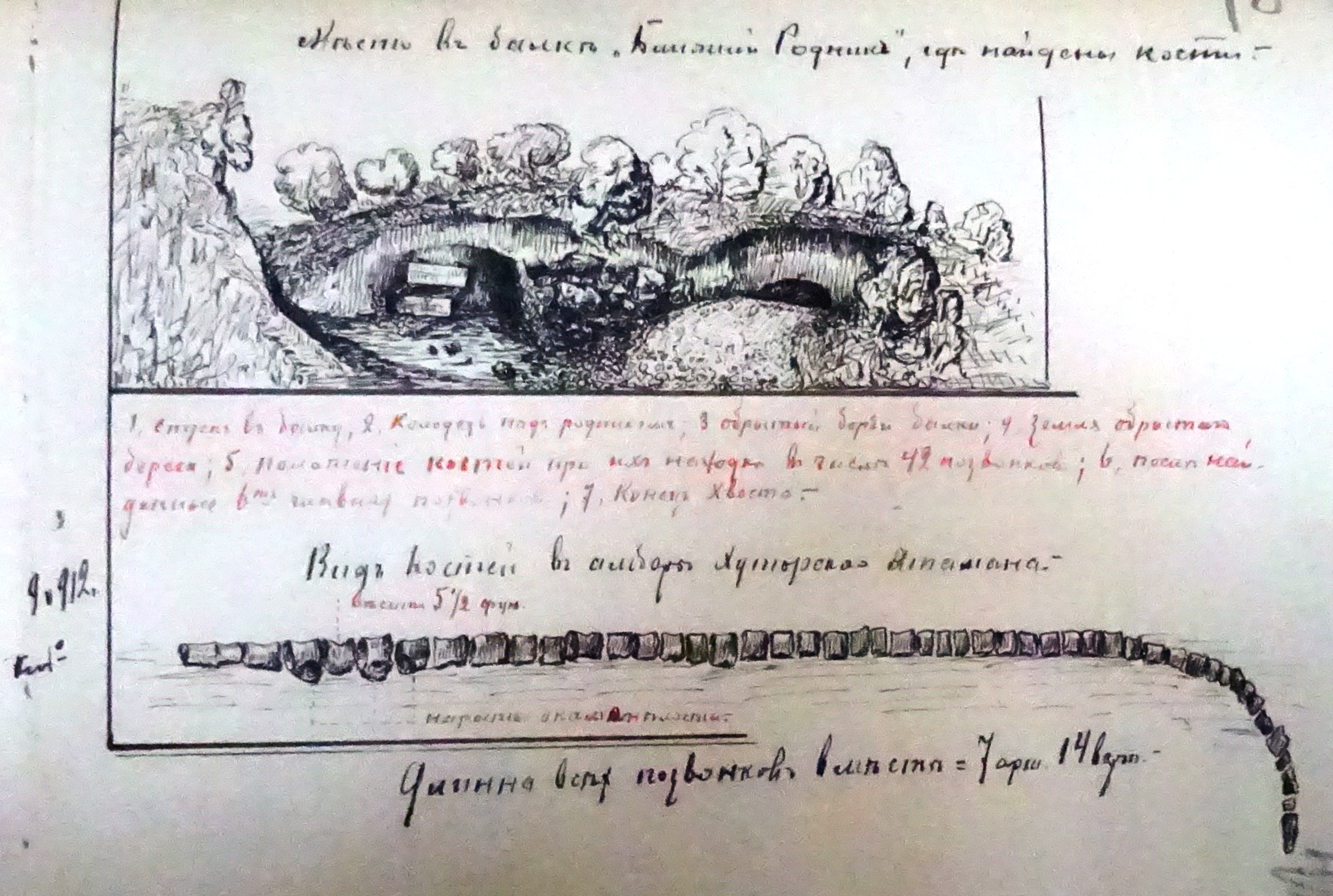 История появления морского ящера в экспозиции Азовского музея-заповедника