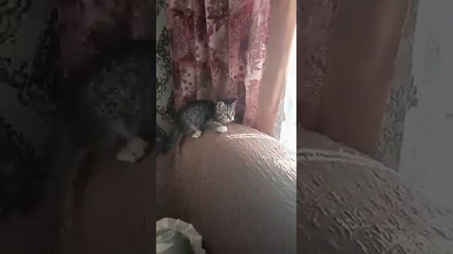 Вася собирается развешивать белье. смотреть онлайн