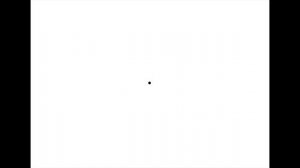 Практика "Черная точка"