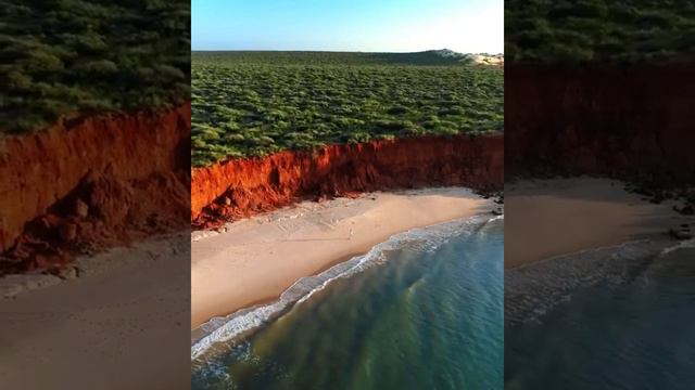 🏝🏖🌅 Австралийский залив Шаркл открыт голландским мореплавателем Дирком Хартогом еще в XVII веке.