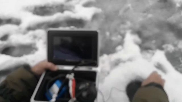 Камера под водой смотреть онлайн