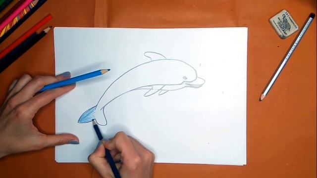 Как нарисовать дельфина карандашом. Онлайн-школа рисования "Малевашки" смотреть онлайн