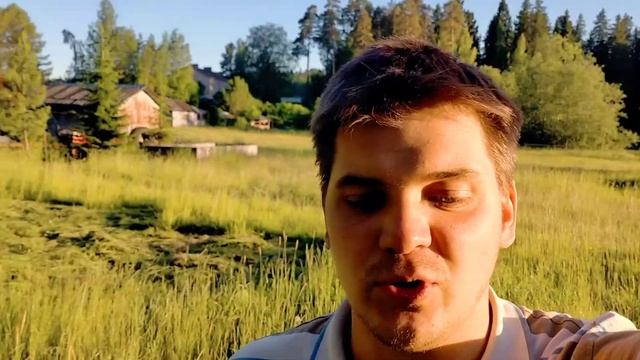 Покос травы и вырубка кустов Спил деревьев. Лучшее предложение в Выборгском районе Ленобласти. смотреть онлайн