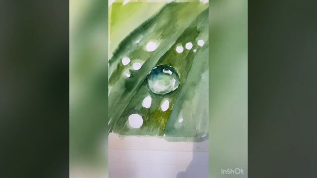Капли 💧 росы