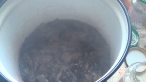 Маринованные рядовки. Рецепт.