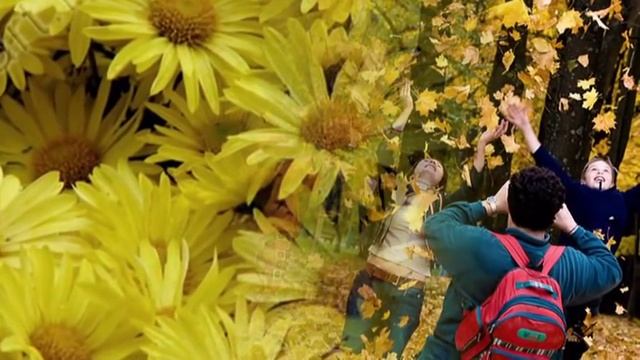 Валерий Ярушин поздняя любовь смотреть онлайн