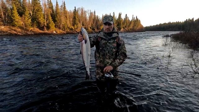 Рыбалка на реках Варзуга и Кица май - июнь 2022 [HD 1920x1080] смотреть онлайн