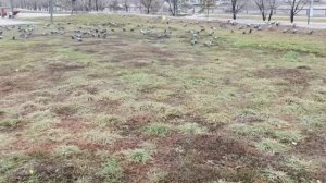 Родственники, вы мои дорогие, завтра я прихожу с работы, а вас чтобы здесь не было...