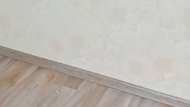 (#446) 04.09.22 Приморская Деревня! Начало осени! Жизнь продолжается! смотреть онлайн