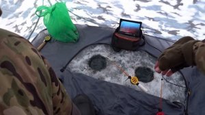 Плотва Зимой 2020...Рыбалка на Мормышку и Донку...(Подводная Съёмка )