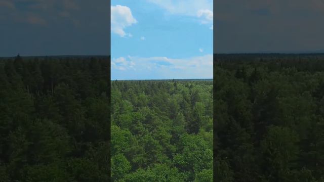 Geprc tinygo  4k fpv withruncam thumb pro 4k v2
