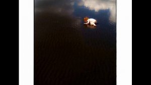 Вис Виталис - Прекрасное далёко 2