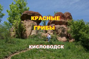 Прогулка к Красным Грибам в Кисловодске