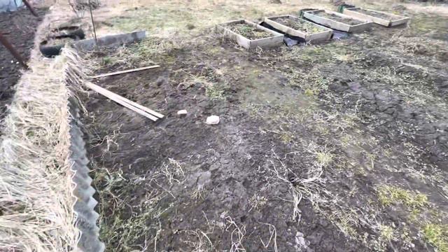 Мой запущенный участок. Огород весной