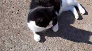 БЛОГ ДЛЯ ТЕХ КТО СМОТРИТ КАНАЛ ГУСАРИХА ПЕРВЫЙ ВЫПУСК