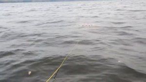 Водный парус - парашют.