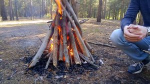 Как разжечь костер с одной спички