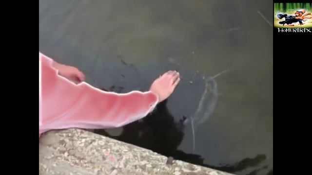 Маленький сомик смотреть онлайн