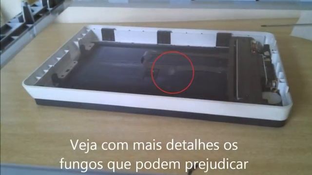 Como limpar HP 3800 Scanjet смотреть онлайн