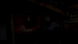 УТЕПЛИЛ КУРЯТНИК! САМЫЙ БЮДЖЕТНЫЙ ВАРИАНТ УТЕПЛЕНИЯ КУРЯТНИКА (ПТИЧНИКА)