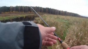✔РЫБАЛКА НА СПИННИНГ В ПОИСКАХ ЩУКИ В ДЕБРЯХ ТВЕРСКОЙ ОБЛАСТИ ! Трудовая рыбалка на малой реке