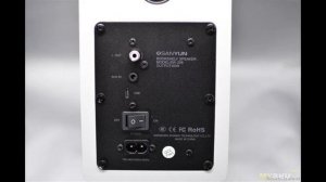 Компьютерные колонки Sanyun SW208 | #Обзор