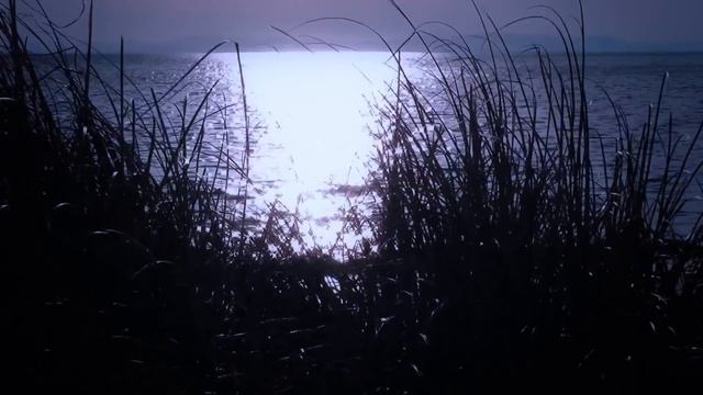 Освобождая РУСАЛКУ из рыболовных сетей, мужчина еще не знал, чем это ЗАКОНЧИТСЯ смотреть онлайн