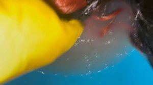 Restoration of the wig Nezuko / Восстановление парика Незуко