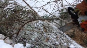 DEKADO раскряжевка