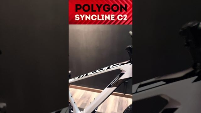 Горный карбоновый велосипед Polygon Syncline C2 29'' | Мощный хардтейл для любителей бездорожья