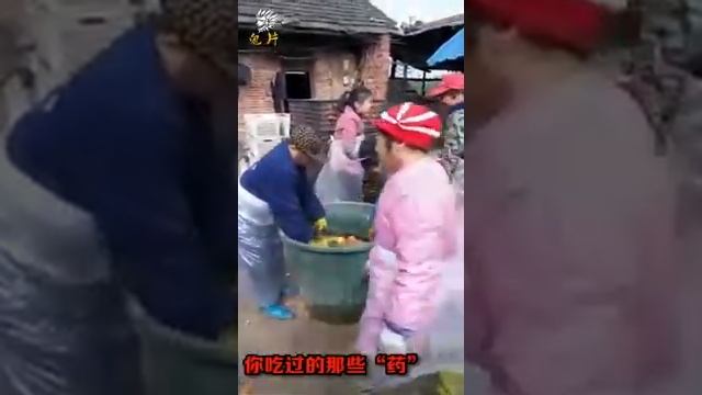 Вот из чего у людей тошнота и рвота смотреть онлайн