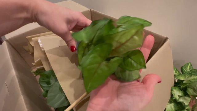 MEGA NIESPODZIANKA Z ZIELONEGO PARAPETU...@ZIELONYPARAPET смотреть онлайн