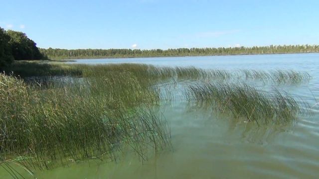 КАК РАССТАВАТЬСЯ (Секреты счастья Светланы Ермаковой)